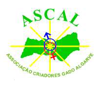 Ascal